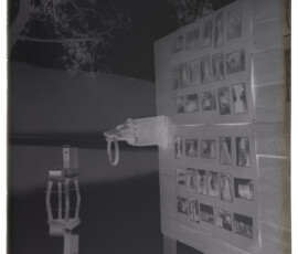 Pannello con parte delle foto dei reperti romani e copia della protome ferina a testa di lupo
