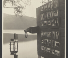 Parte del pannello montato con fotografie dei reperti romani e copia di protome ferina a testa di lupo