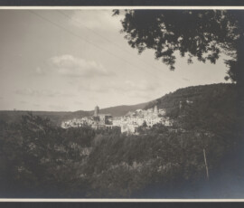 Vista dell'abitato di Nemi