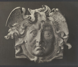 Testa di medusa
