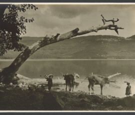 La riva del lago all'inizio dello svaso
