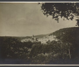 Vista dell'abitato di Nemi
